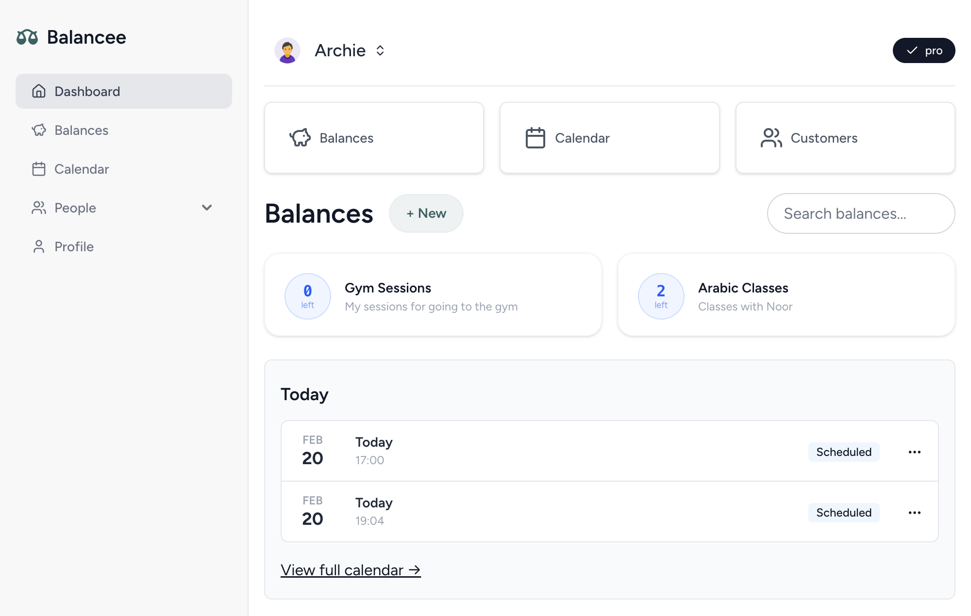 Balancee dashboard screenshot